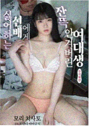 蘑菇影音 蜘蛛侠纵横宇宙 动画神作